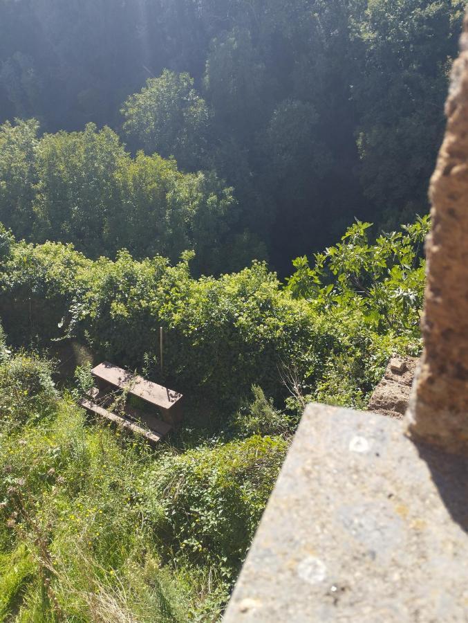 Antica Dimora Daire Barbarano Romano Dış mekan fotoğraf