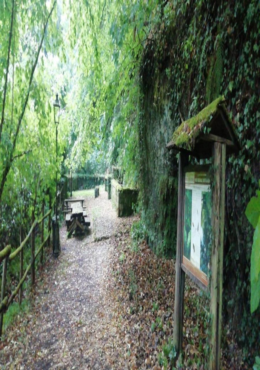 Antica Dimora Daire Barbarano Romano Dış mekan fotoğraf