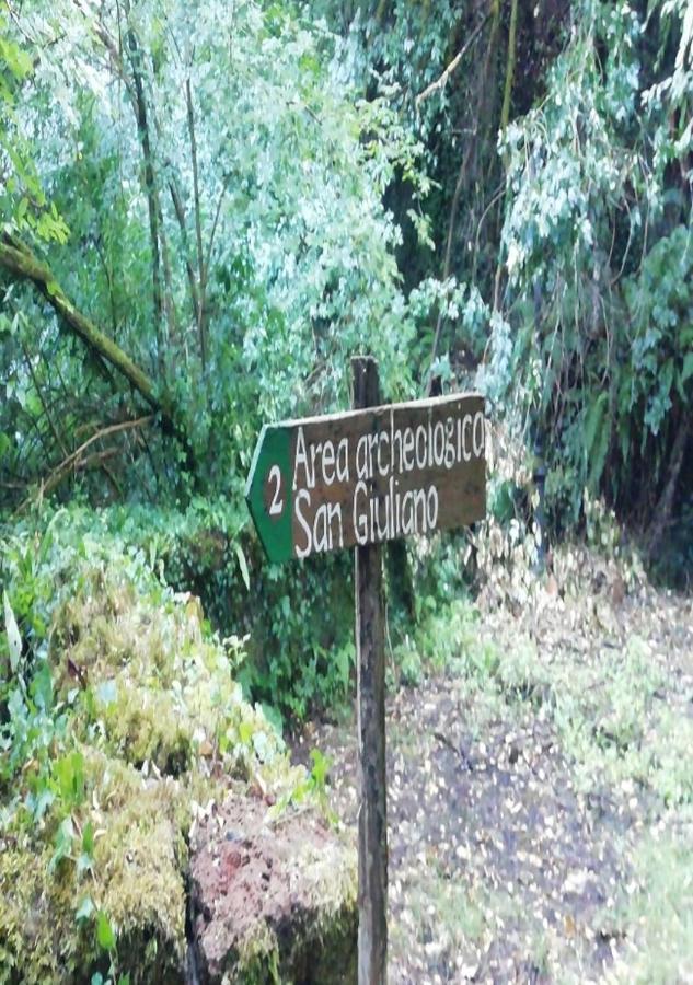 Antica Dimora Daire Barbarano Romano Dış mekan fotoğraf